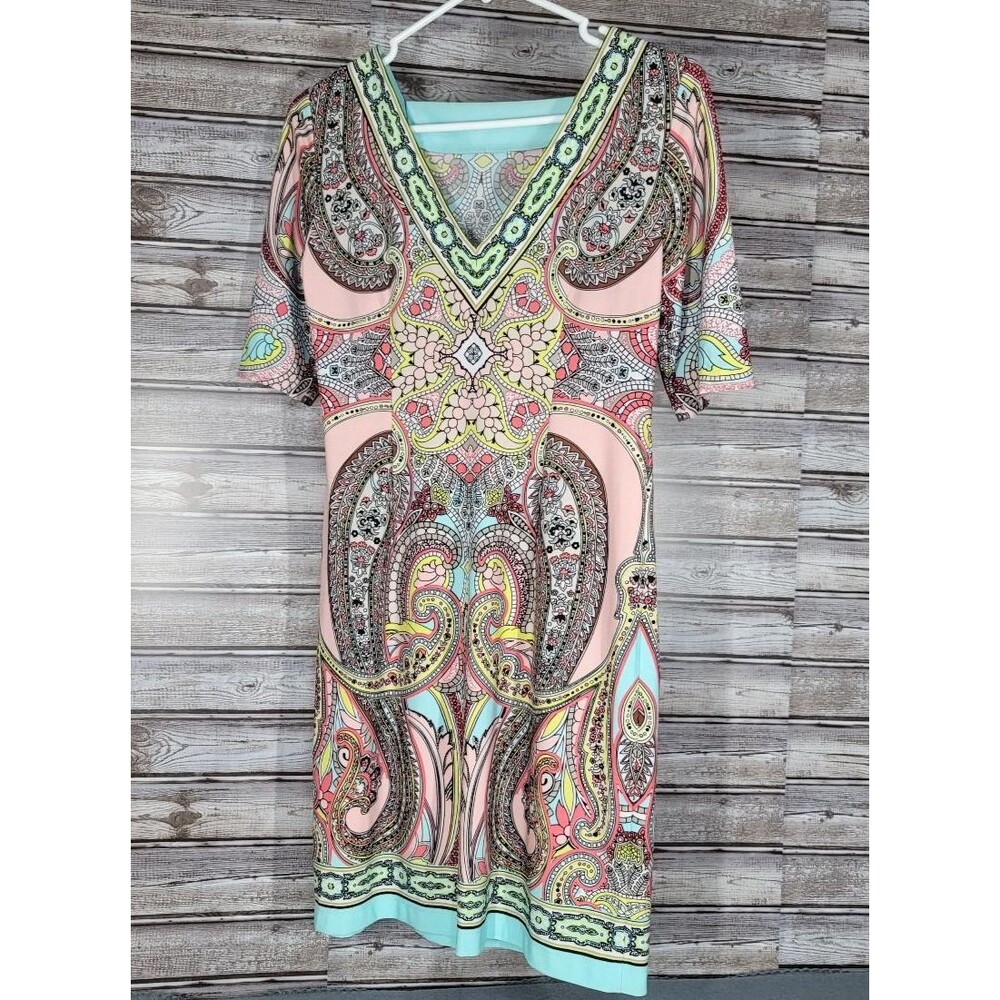 Sandra Darren Multicolor Paisley Shift Dress Knee Length V Neck Size 4P